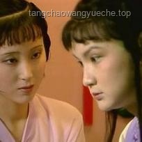 《〈红楼梦〉中贾宝玉：从误解到理解的成长之旅》